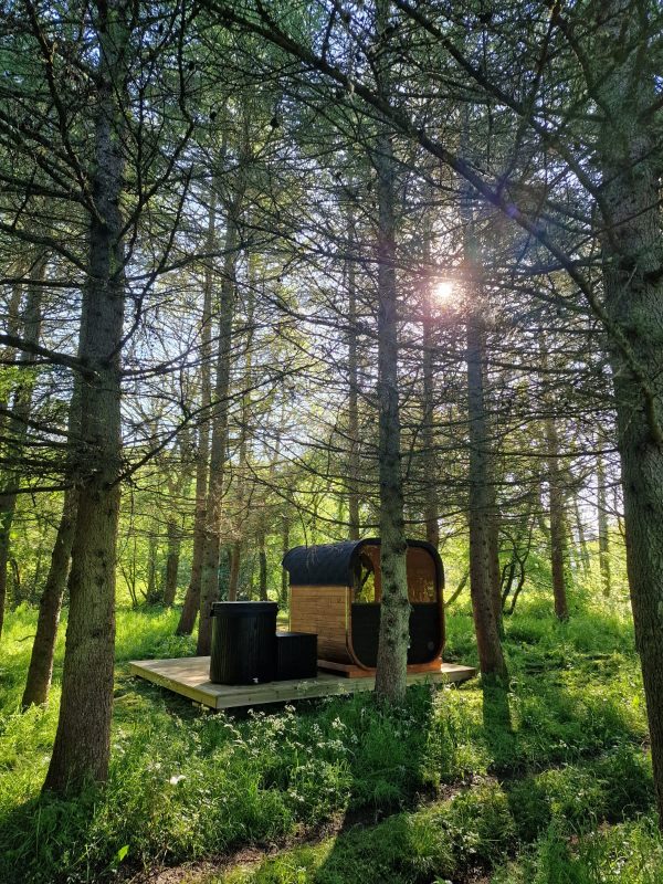 Cube Sauna (2m) - Image 3