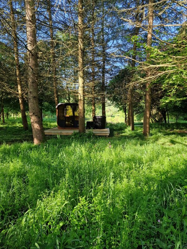 Cube Sauna (2m) - Image 5